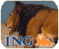przyst�p do OFE online: ING